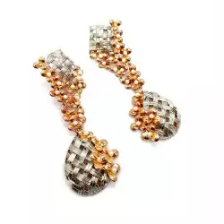 Special Earrings